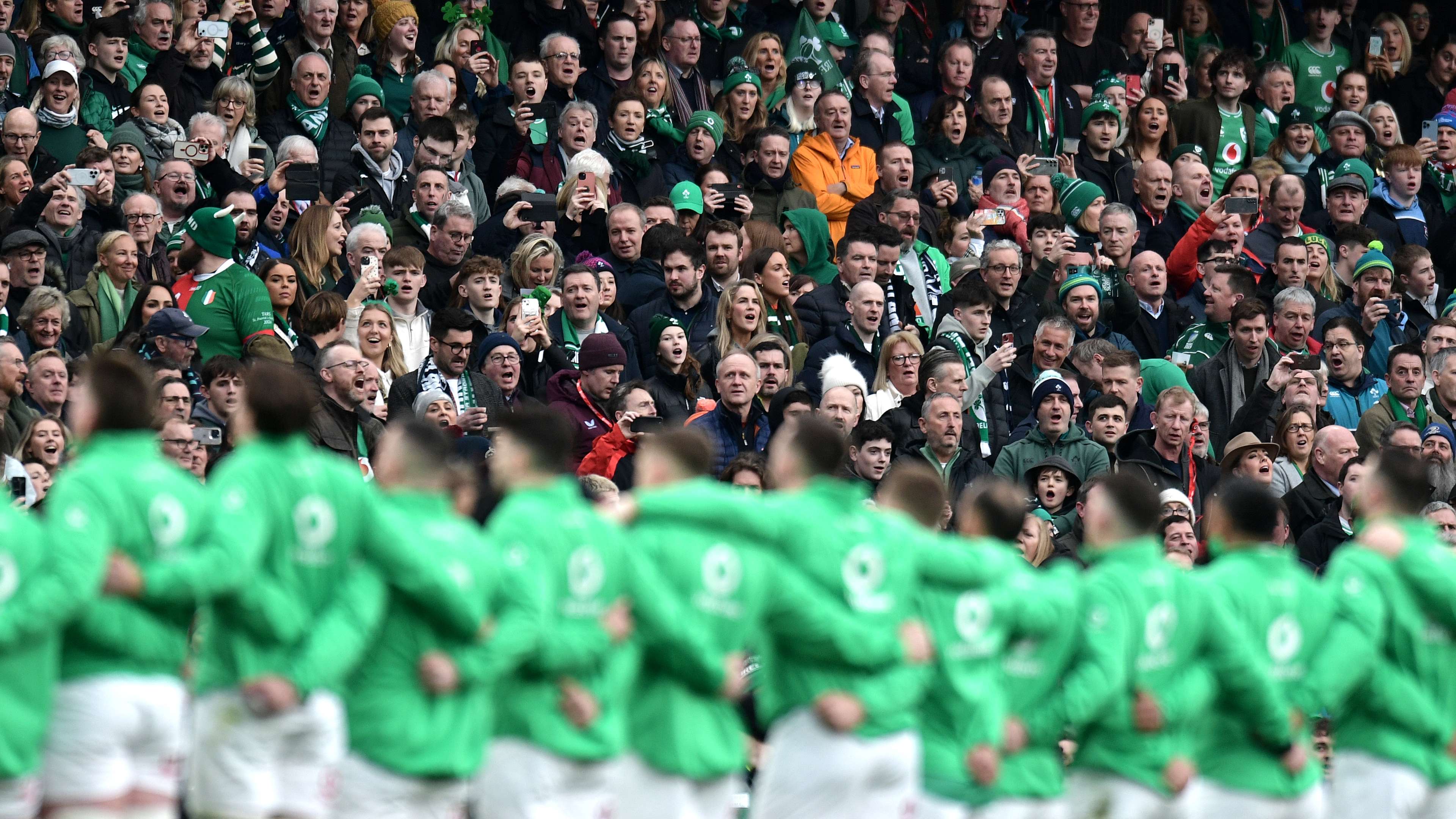 向我们展示 向我们展示