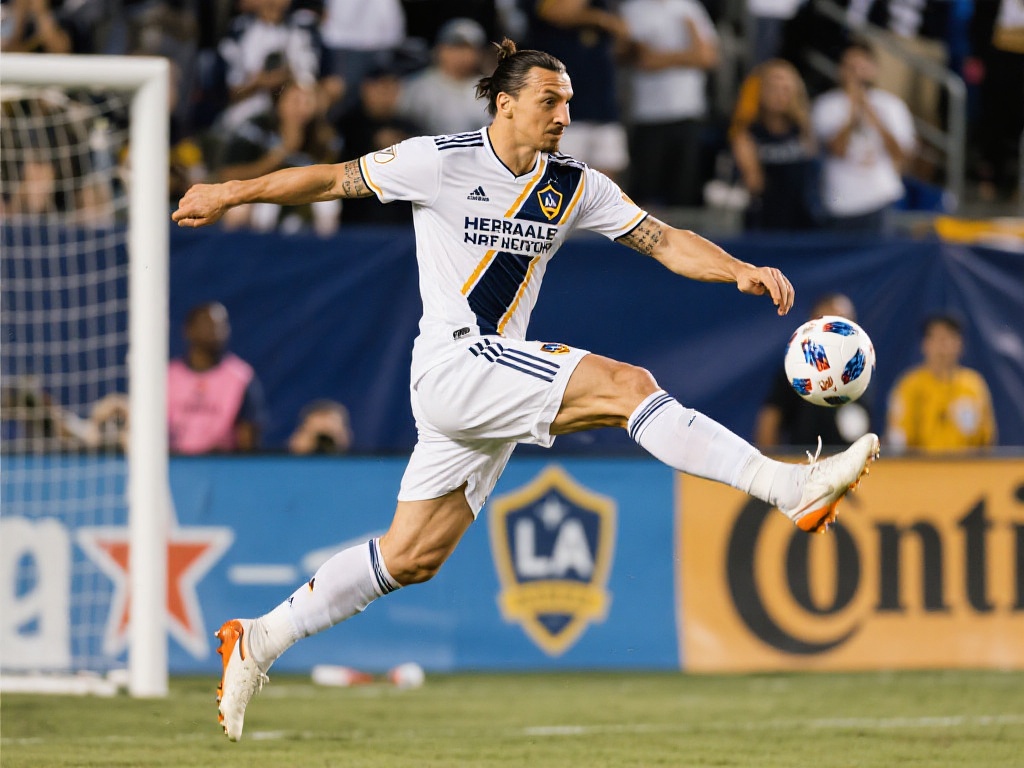 培训中还提 培训中还提